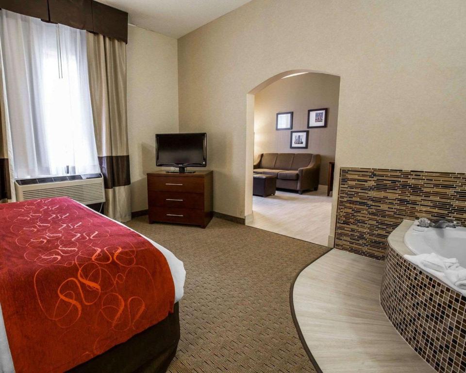 Comfort Suites Stafford Near Sugarland - image 5