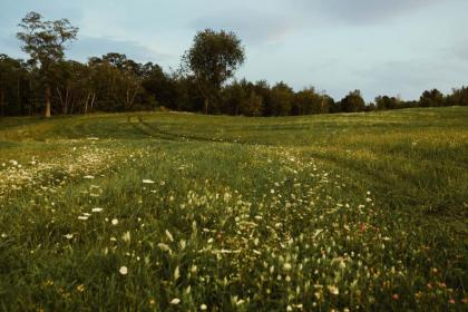 Tentrr - Private Peaceful Farm Venture - image 10