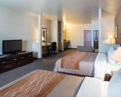 Comfort Inn I-20 Midland Stanton - image 8