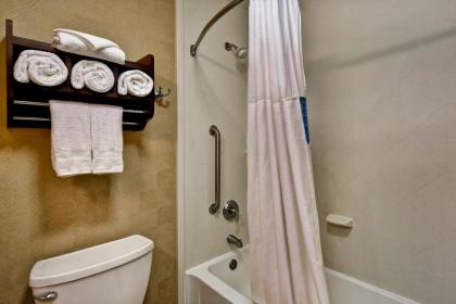 Hampton Inn Starkville - image 12