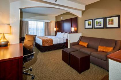 Comfort Suites near Penn State - State College - image 10