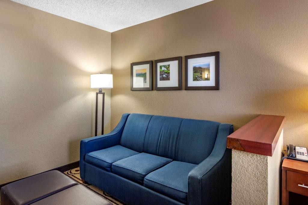 Comfort Inn & Suites - image 6