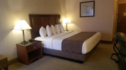 Best Western Staunton Inn - image 5