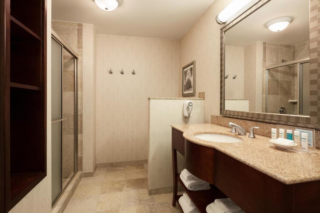 Hampton Inn & Suites Washington-Dulles International Airport - image 4