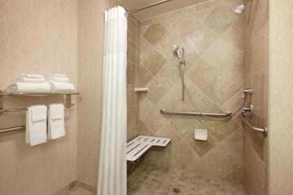 Hampton Inn & Suites Washington-Dulles International Airport - image 8