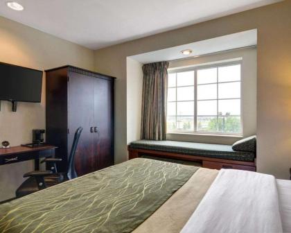 Comfort Inn & Suites Airport Dulles-Gateway - image 10