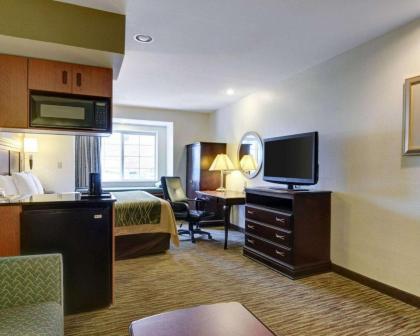 Comfort Inn & Suites Airport Dulles-Gateway - image 11