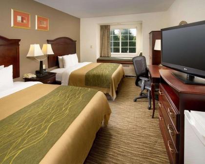 Comfort Inn & Suites Airport Dulles-Gateway - image 4