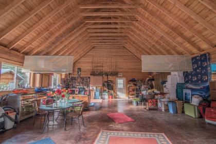 Pet-Friendly Log Cabin with Fire Pit on Kenai River! - image 10