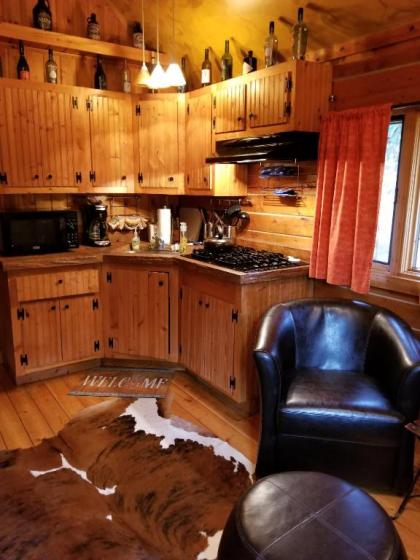 Pet-Friendly Log Cabin with Fire Pit on Kenai River! - image 3