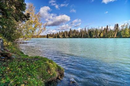 Sterling Cabin with Fire Pit and Kenai River Views! - image 10