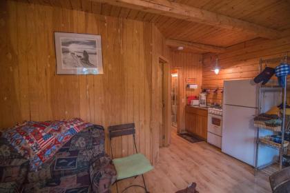 Sterling Log Cabin in Community on The Kenai River - image 7