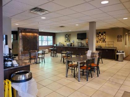 Microtel Inn & Suites by Wyndham Steubenville - image 10