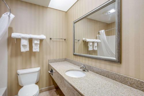 RODEWAY INN & SUITES - image 5