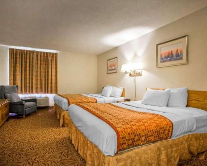 Econo Lodge Inn & Suites Stevens Point - image 9