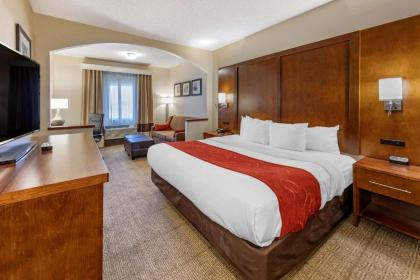 Comfort Suites Near Six Flags Magic Mountain - image 11