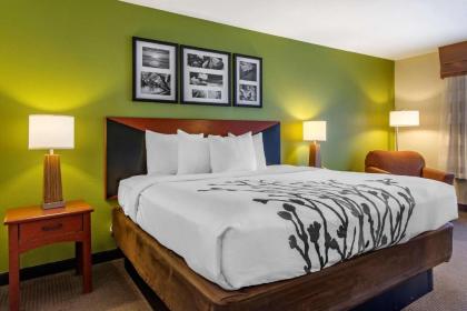 Sleep Inn & Suites Stockbridge Atlanta South - image 10