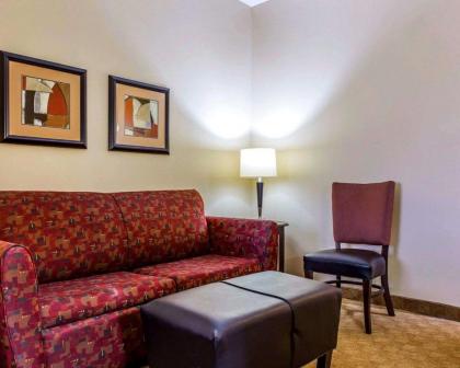 Comfort Suites Stockbridge Atlanta South - image 13