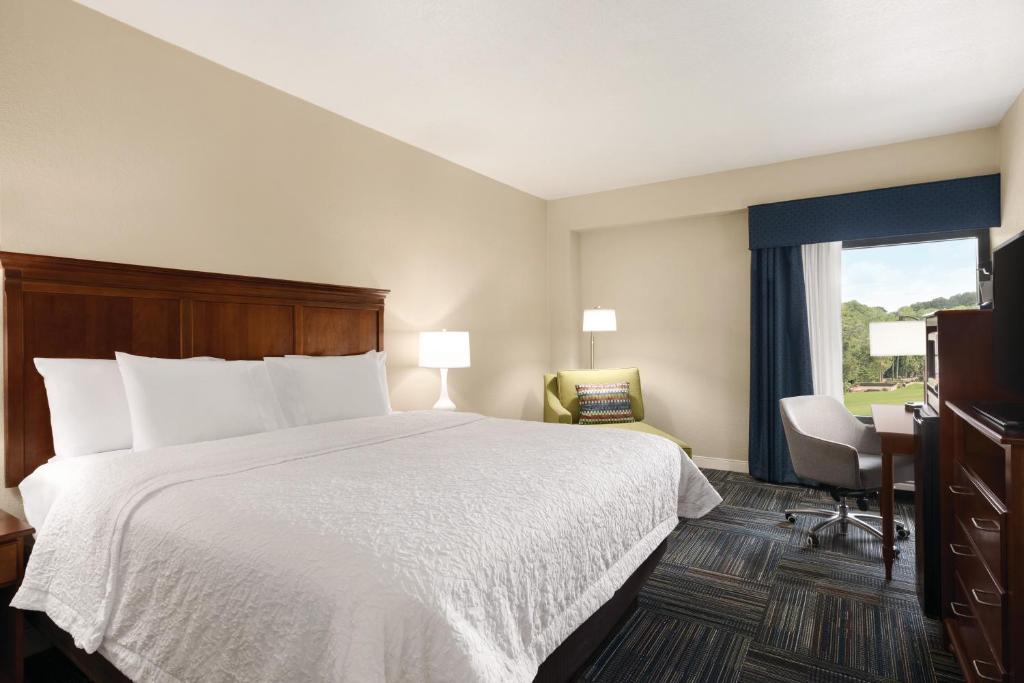 Hampton Inn Atlanta-Stone Mountain - main image