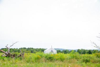 Tentrr Signature - Orchard Tent - image 11