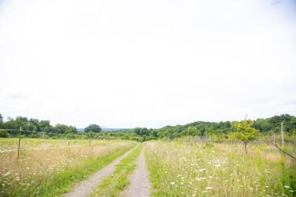 Tentrr Signature - Orchard Tent - image 12