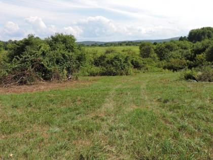 Tentrr Signature - Orchard Tent Overlooking Mohonk - image 7