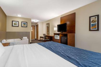 Comfort Inn Story City - image 11