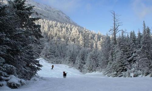 Goldilocks Cabin - image 3