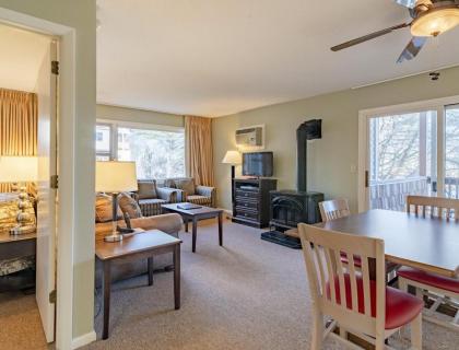 Luxurious Stowe Mountain Resort Condominiums - image 15