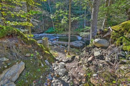 Remote Cabin with Fire Pit 3 Miles to Stowe Mtn! - image 8