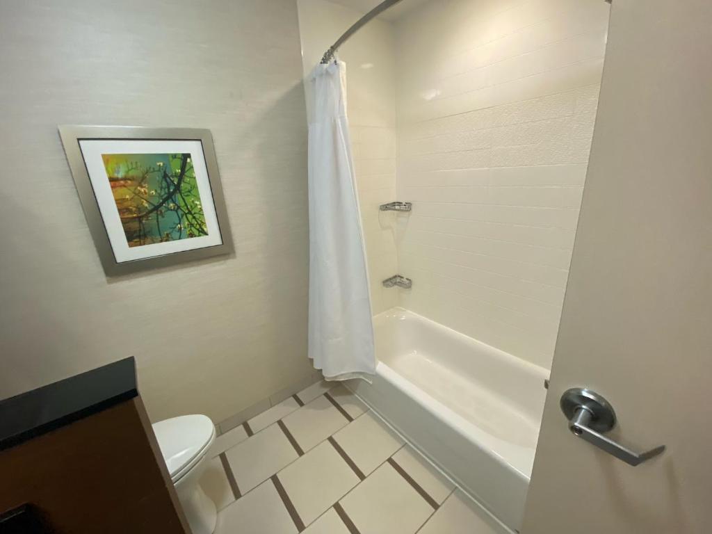 Fairfield Inn & Suites by Marriott Stroudsburg Bartonsville/Poconos - image 3