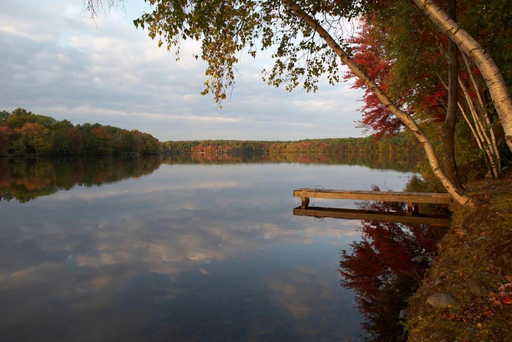 Mountain Springs Lake Resort - main image