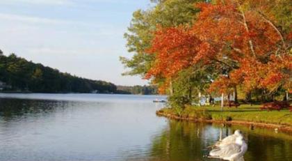 Sturbridge Host Hotel And Conference Center - image 3