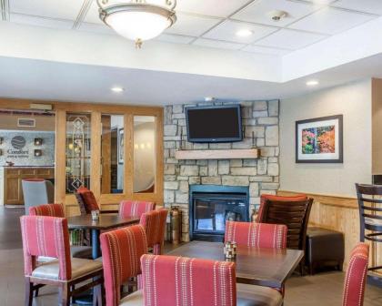 Comfort Inn & Suites Sturbridge-Brimfield - image 14