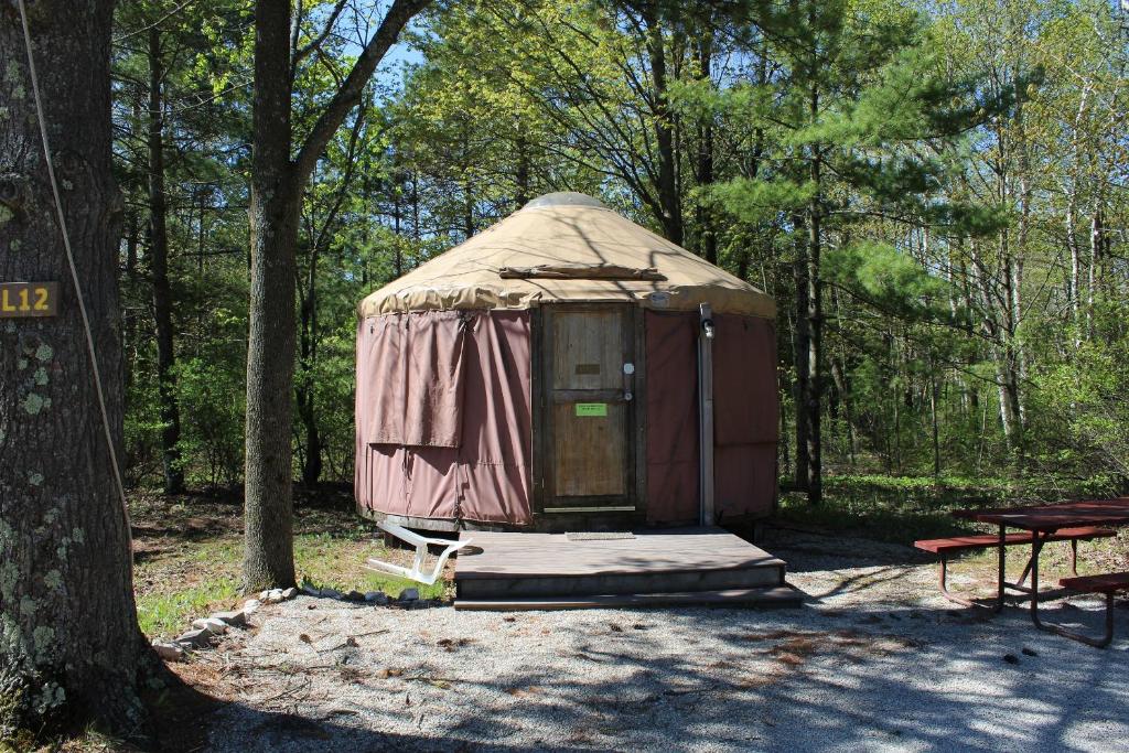 Tranquil Timbers Yurt 3 - main image