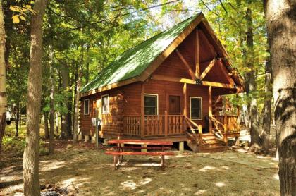 Tranquil Timbers Deluxe Cabin 6 - image 8