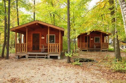 Tranquil Timbers Cabin 11 - image 1