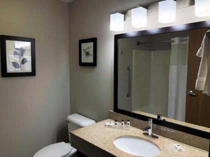 Country Inn & Suites by Radisson Mt. Pleasant-Racine West WI - image 19