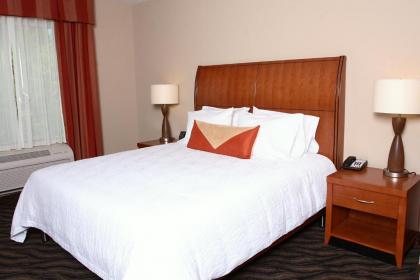 Hilton Garden Inn Chesapeake/Suffolk - image 11