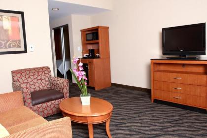 Hilton Garden Inn Chesapeake/Suffolk - image 6