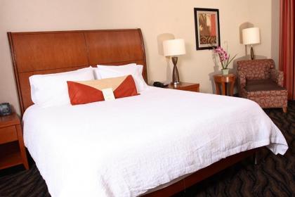 Hilton Garden Inn Chesapeake/Suffolk - image 9