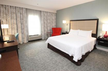 Hampton Inn- Suffolk - image 11