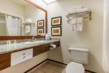 Comfort Inn Summerville – Charleston - image 11