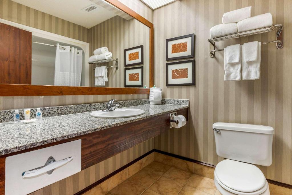 Comfort Inn Summerville – Charleston - image 7