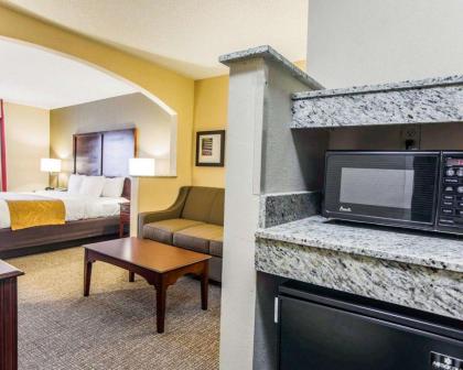 Comfort Suites Sumter - image 10