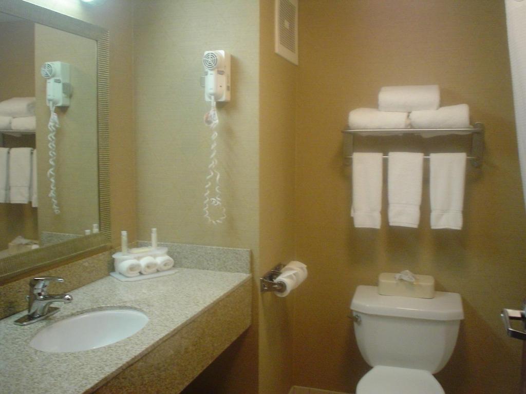 Holiday Inn Express Hotel & Suites Delaware-Columbus Area an IHG Hotel - image 4