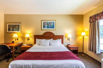 SureStay Plus Hotel by Best Western Mesquite - image 11