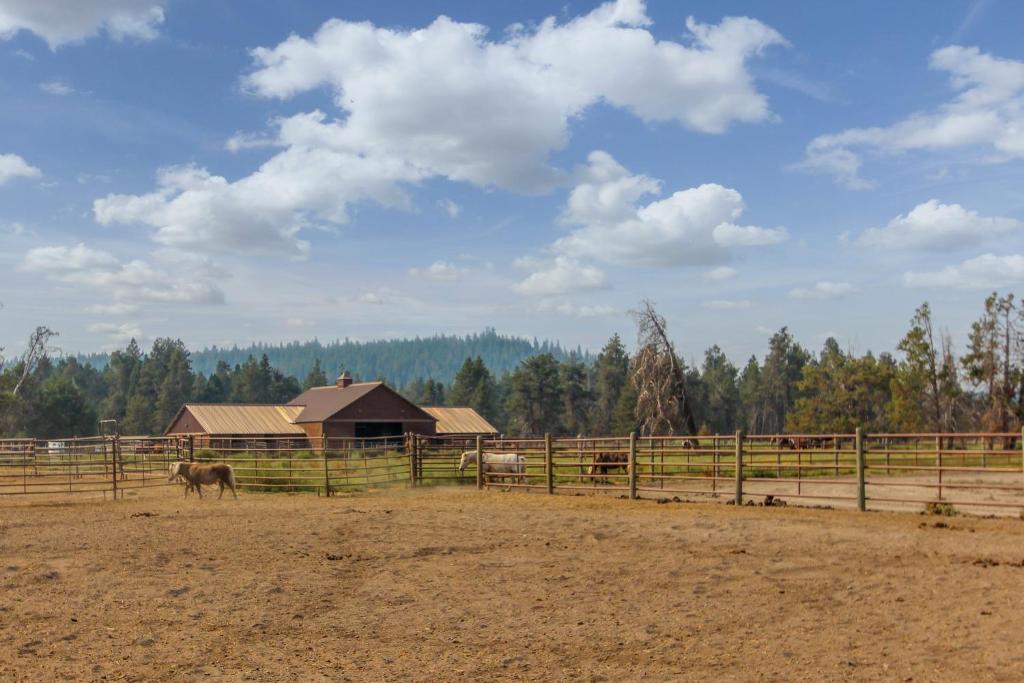 Ranch Cabin 12 | Discover Sunriver - image 4