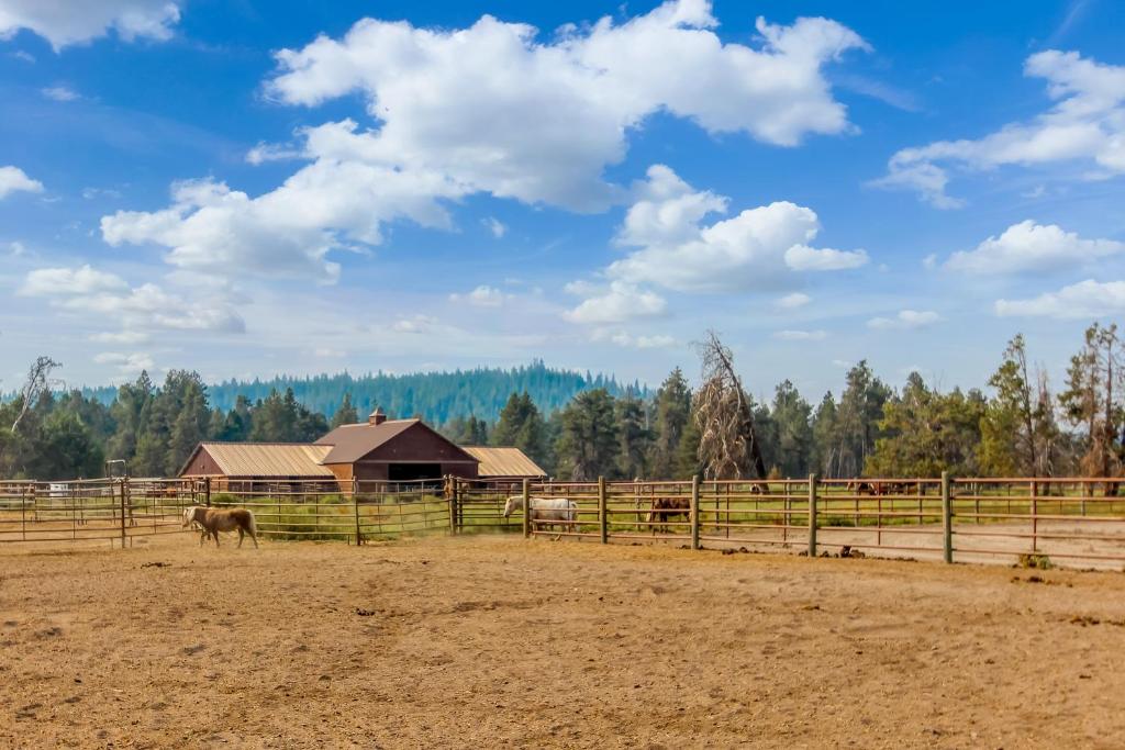 Hickory Lane 16 | Discover Sunriver - image 5