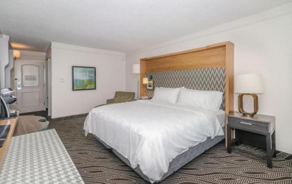 Holiday Inn Oceanfront at Surfside Beach an IHG Hotel - image 5